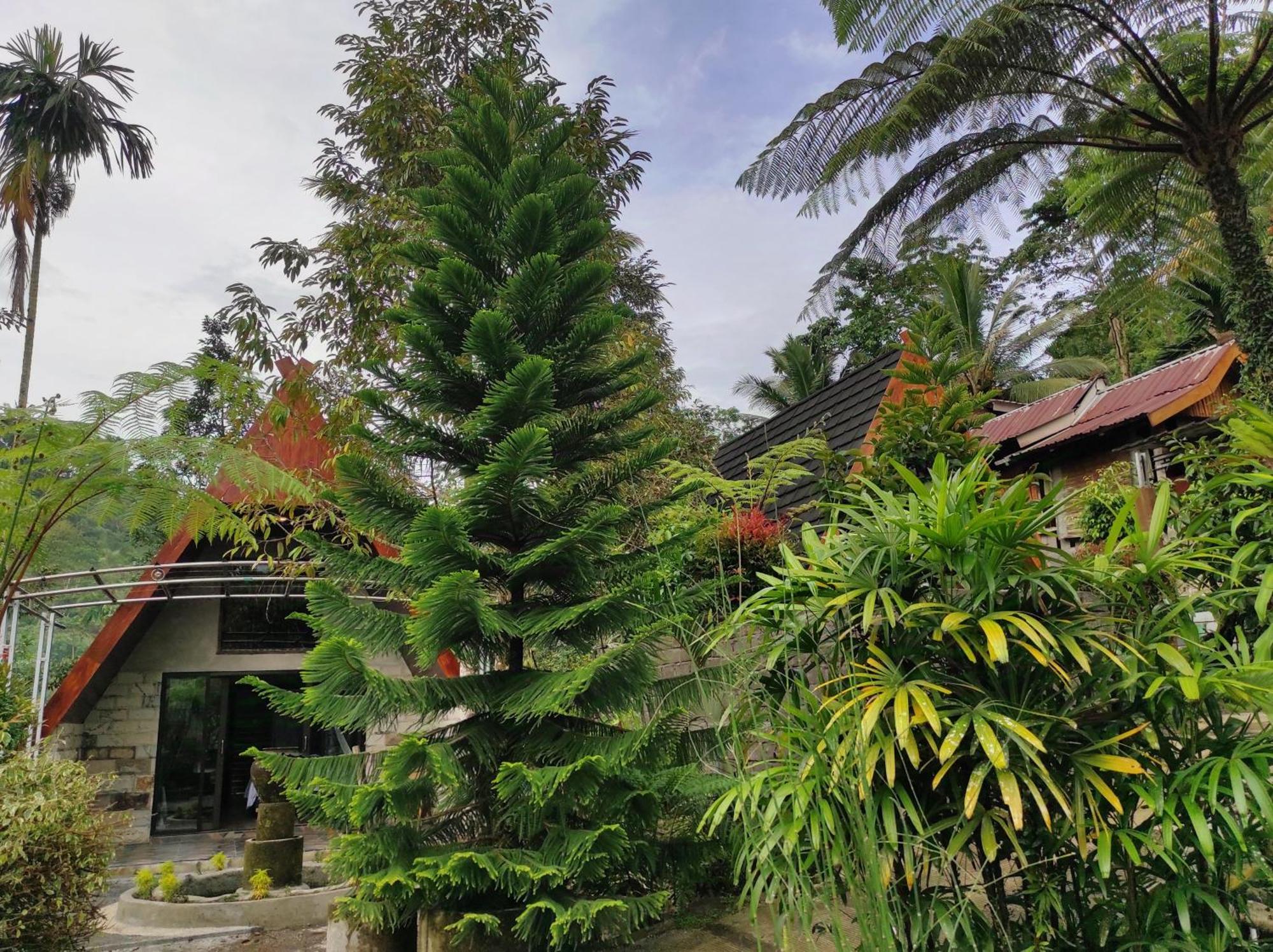 Goa Walet Cottage Прая Екстериор снимка