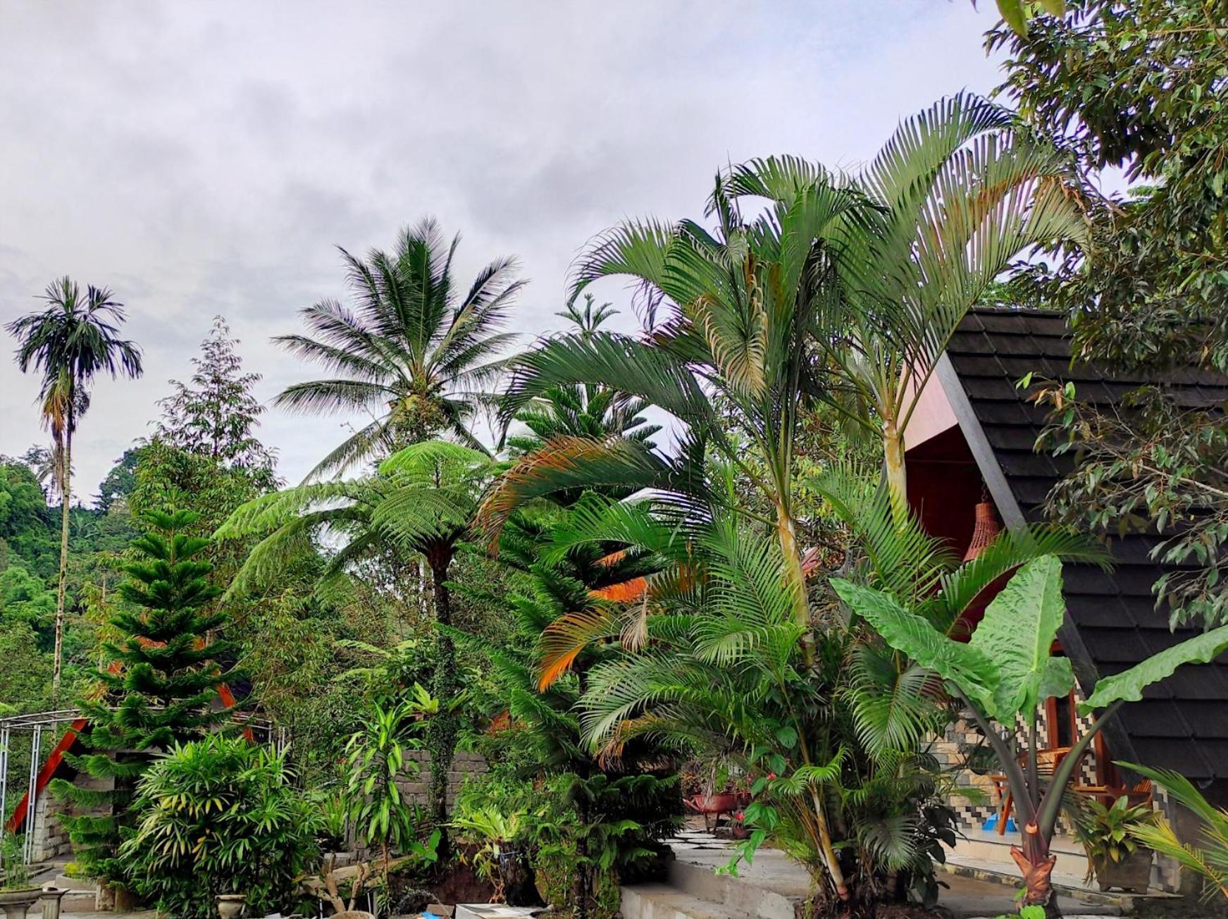 Goa Walet Cottage Прая Екстериор снимка